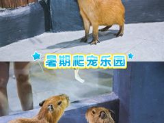 -南昌海洋公园