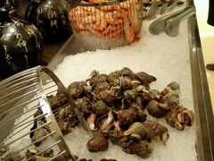 -龙之梦万丽酒店青餐厅