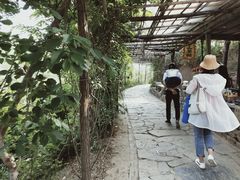 -井塘古村