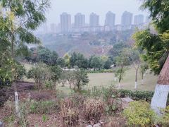 -金海湾滨江公园