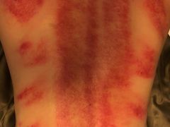 -儒之堂足道·SPA·推拿(莫干山路店)