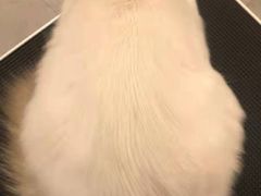 -comecome来吧宠物(奥克斯中心店)