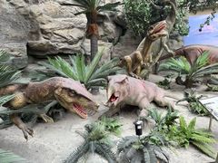 -国家自然博物馆