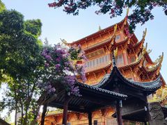 -龙潭水乡