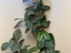 -君霖私家菜(春柳店)