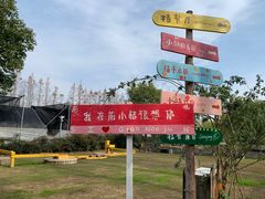 -前小桔亲子创意农场·草莓采摘·露营烧烤