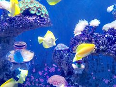 -海合安天津极地海洋公园