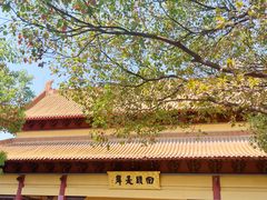 -方山风景区定林寺