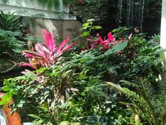 -广州白天鹅宾馆