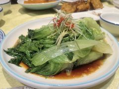 -新侨小馆(东直门北小街店)