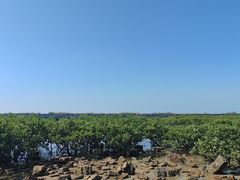 -北海金海湾红树林生态旅游区