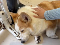 -平行世界·猫咖(首经贸店)