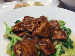 鸡毛菜圈子-品悦酒店(三林古镇店)