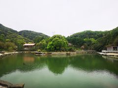 -广州市帽峰山景区