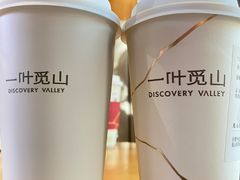 -一叶觅山(半边街店)