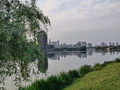 -眉山湿地公园(东坡区)