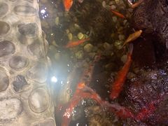 -宴桃园(门头沟店)