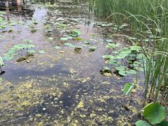 -马家湾湿地公园
