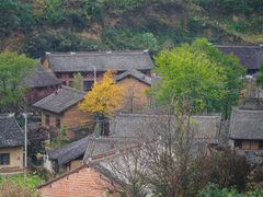-秦岭风景区