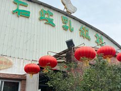 -石岐乳鸽村(桥观坊南四巷店)