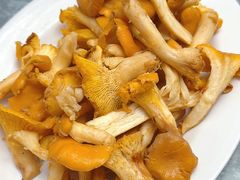 -原林野山菌火锅·炒菌(关上野生菌一条街店)