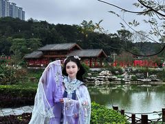-南宁花花大世界景区