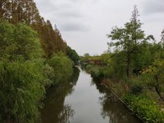 -上海长兴岛郊野公园