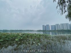 -剑鱼皮划艇俱乐部(石湖基地)