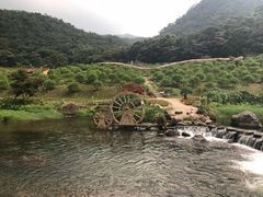 -广州市石门国家森林公园