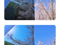 -龙美术馆(西岸馆)