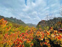 -克什克腾世界地质公园青山景区