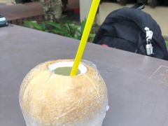 -东海岸人工湖美食村