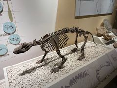 -国家自然博物馆