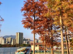 -飞来湖湿地公园