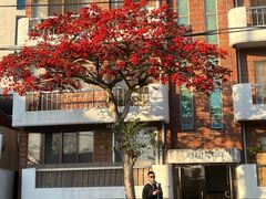 -西归浦每天偶来市场