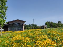 -白鹭湾湿地公园