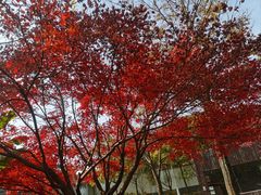 -上方山森林动物世界