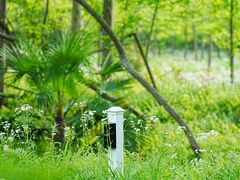 -黄海国家森林公园