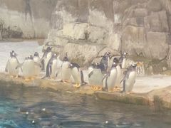 -成都浩海立方海洋公园