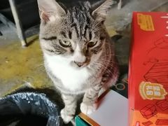 -柴火记忆·柴火鸡(万科店)