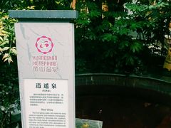 -黄山温泉国际旅游度假区