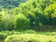 -千泷沟大瀑布旅游区