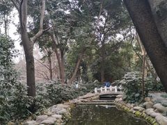 -成都市活水公园