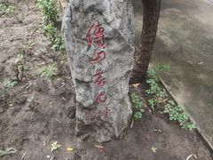 -碑林公园