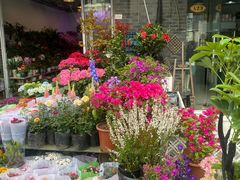 -平吉花卉市场