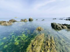 -养马岛旅游度假区