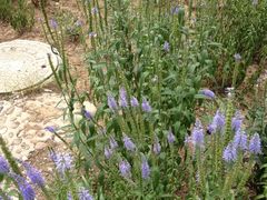 景观位-劳模山庄