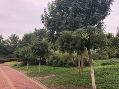 -大港湿地公园