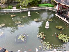 -碧江金楼