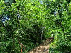 -杭州半山国家森林公园